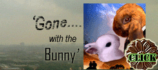 gone with the bunny